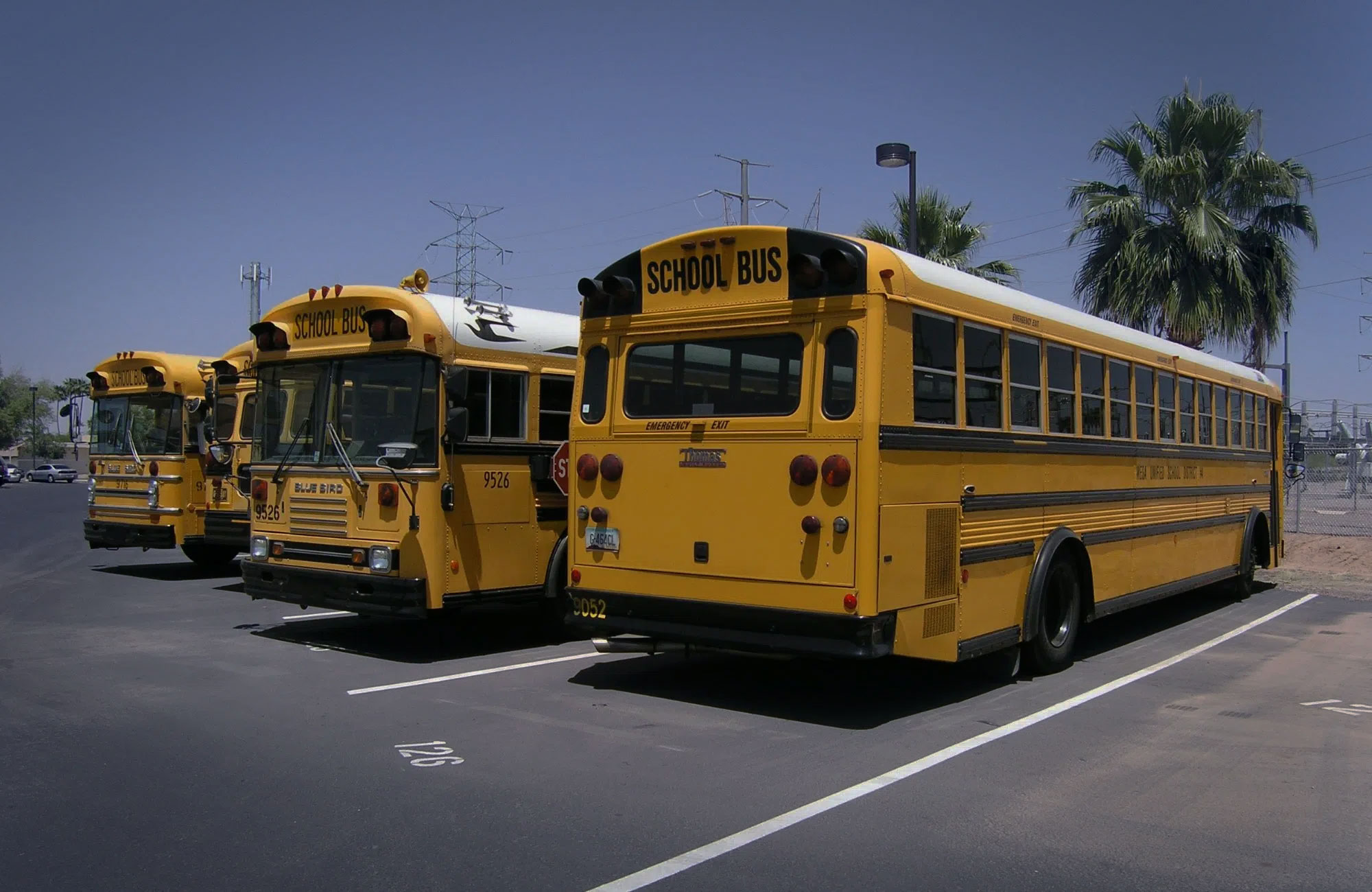 american school buses from behind